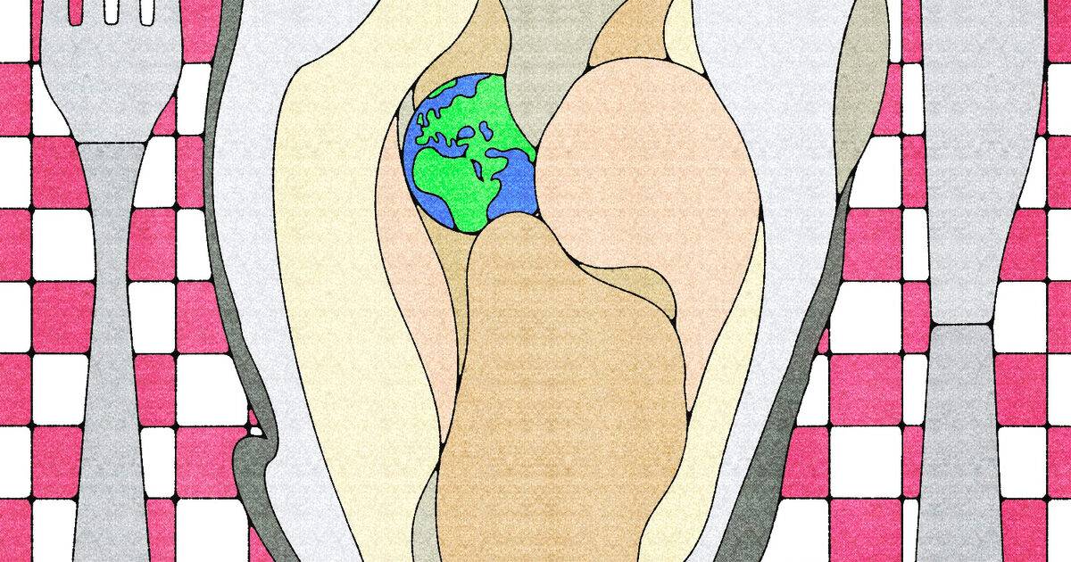 Zoe_Maghames_Peters_Index_01.